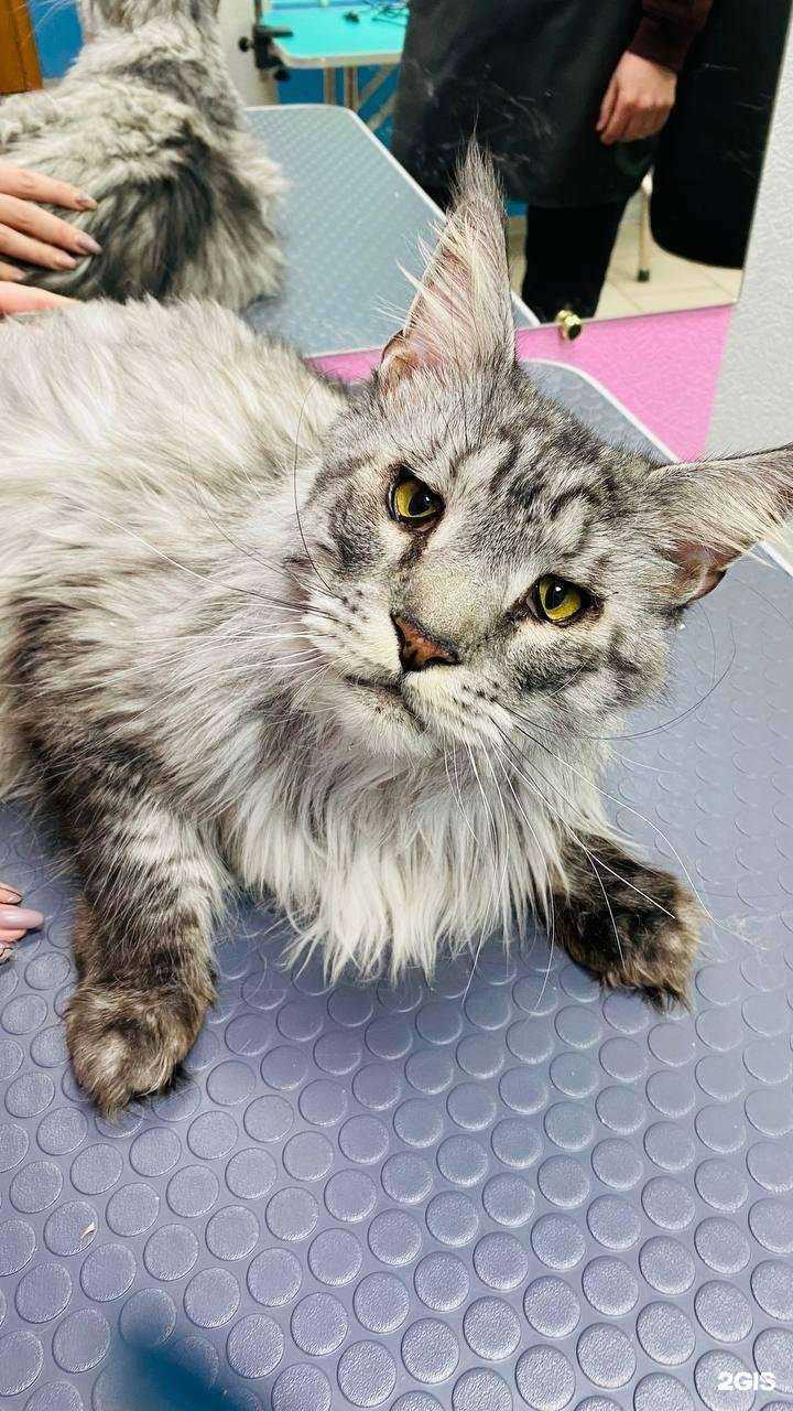 Отзывы на компанию D&C в Томске c фото