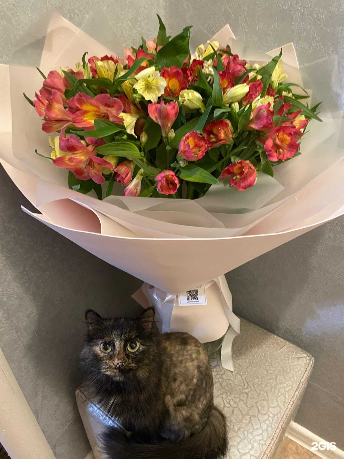 Отзывы на компанию Happy Flower в г. Волгоград c фото