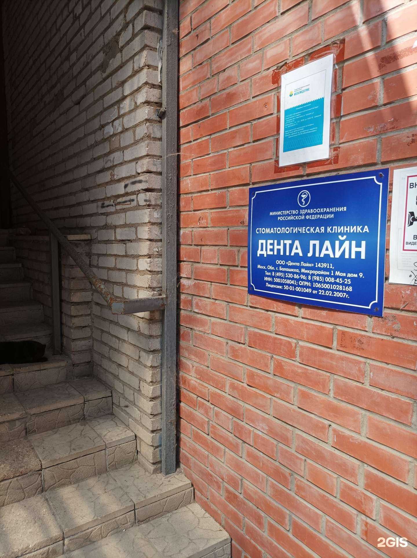 Отзывы на компанию Дента Лайн в Балашихе c фото