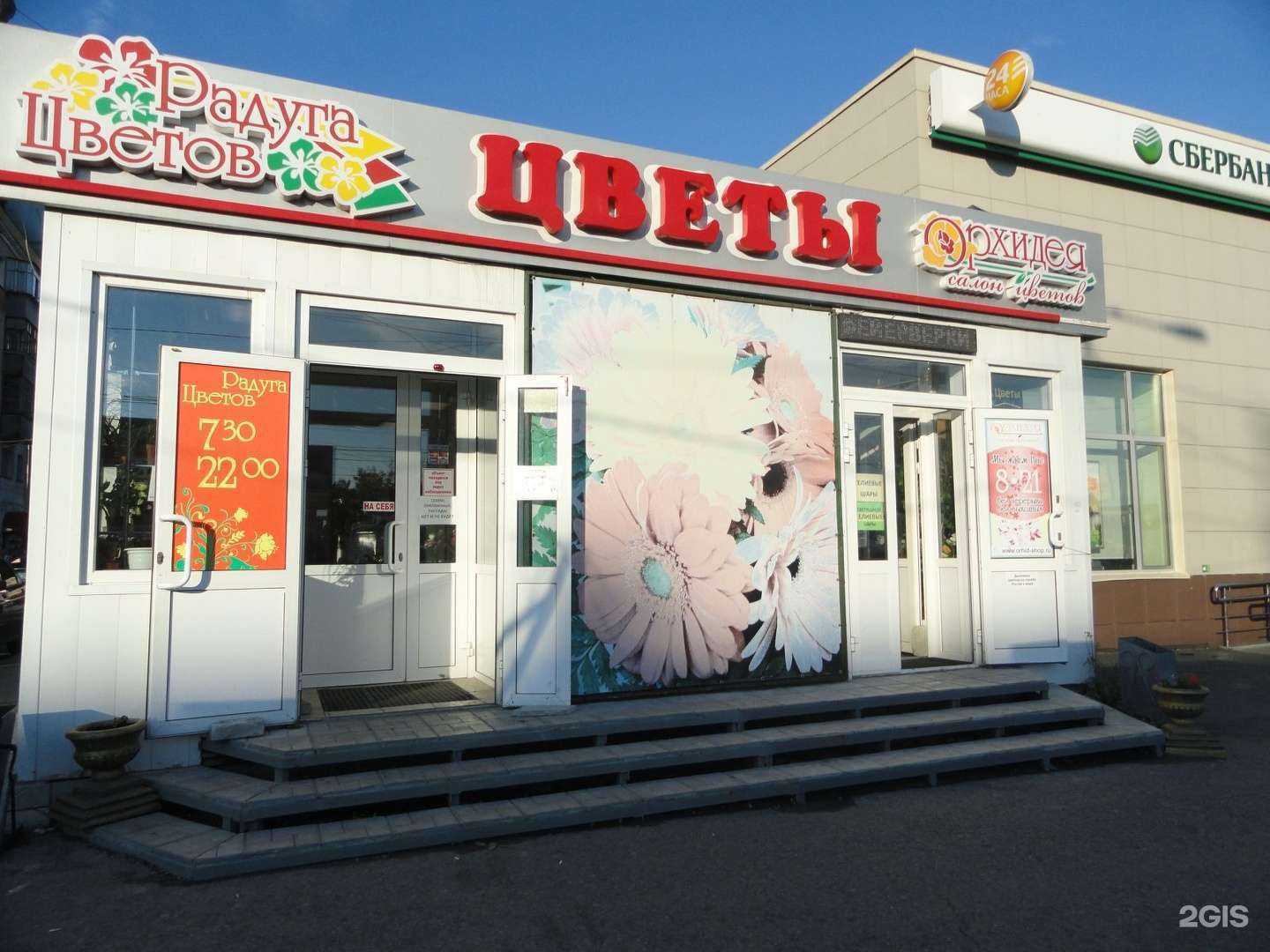 Отзывы на компанию Орхидея в Кургане c фото - фотография 2 из 2