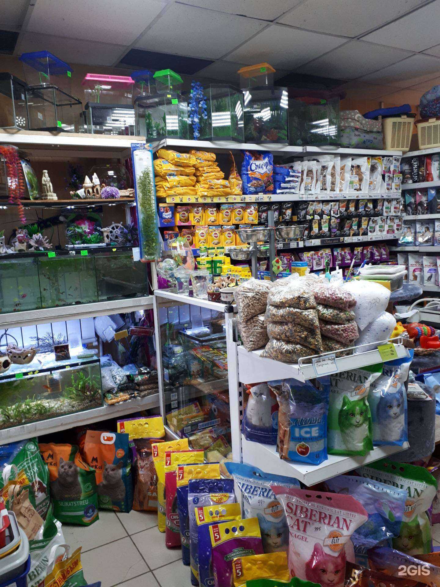 Отзывы на компанию Зверьё моё в Иркутске c фото