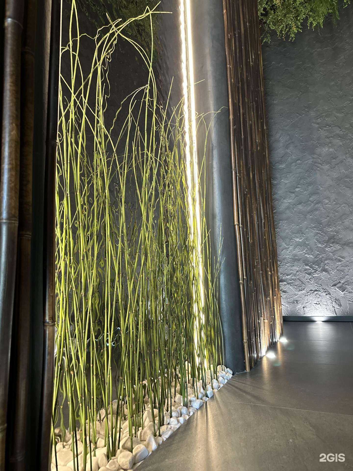 Отзывы на компанию Spa.Telo.Krasota в Екатеринбурге c фото