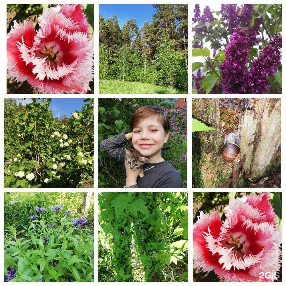 Отзывы на компанию Центральная детская музыкальная школа им. А.А. Алябьева в г. Коломна c фото