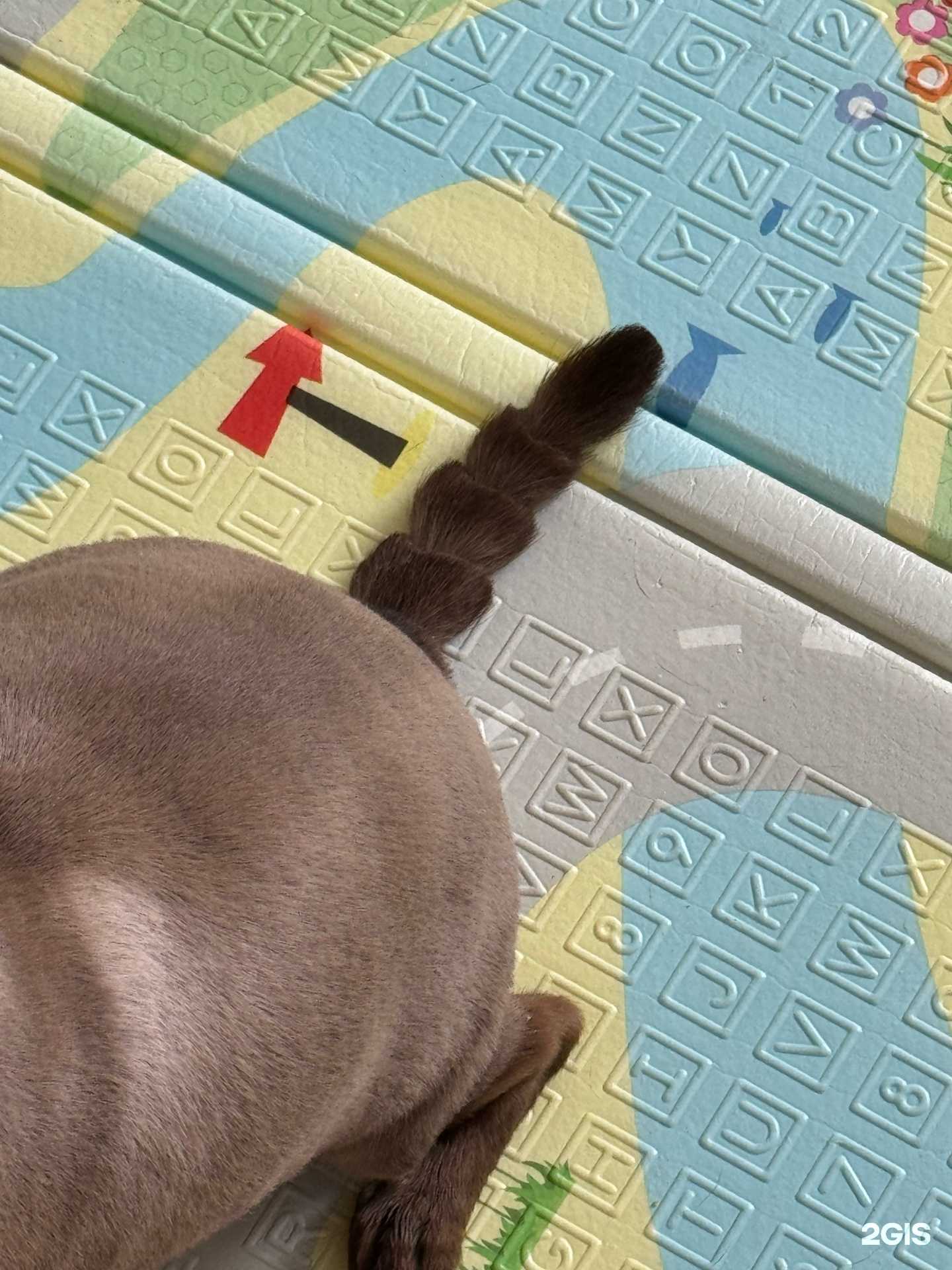 Отзывы на компанию Лассоль Ред в г. Белгород c фото