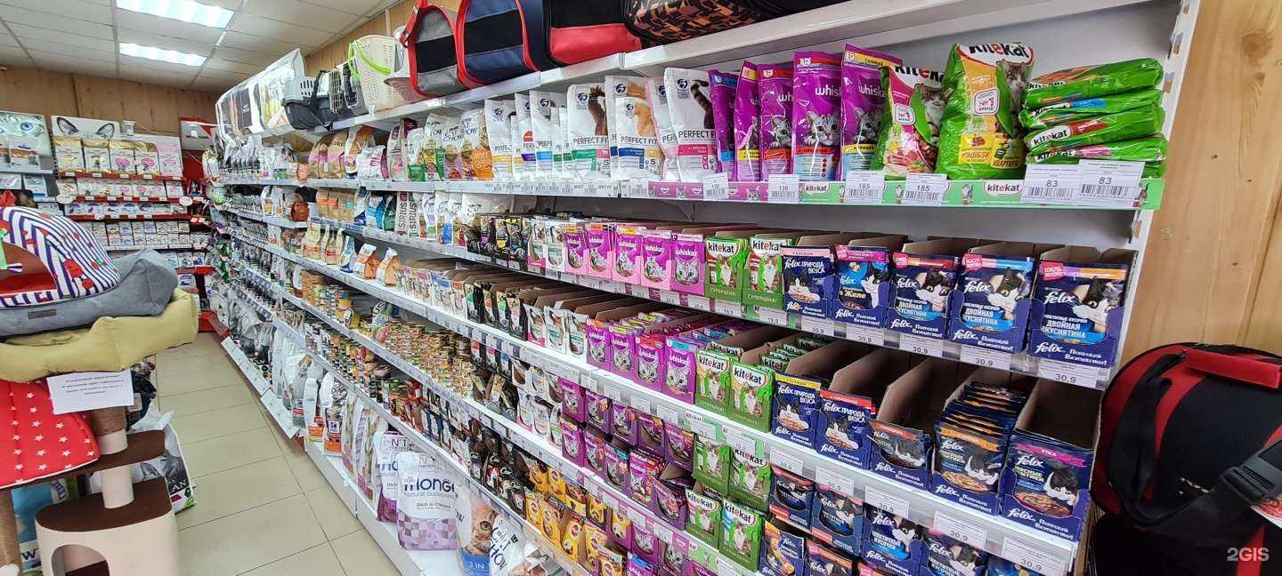 Отзывы на компанию ЗOOКУРАЖ в Красноярске c фото