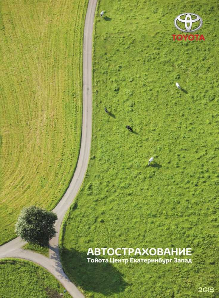 Отзывы на компанию Студия 11 в г. Екатеринбург c фото