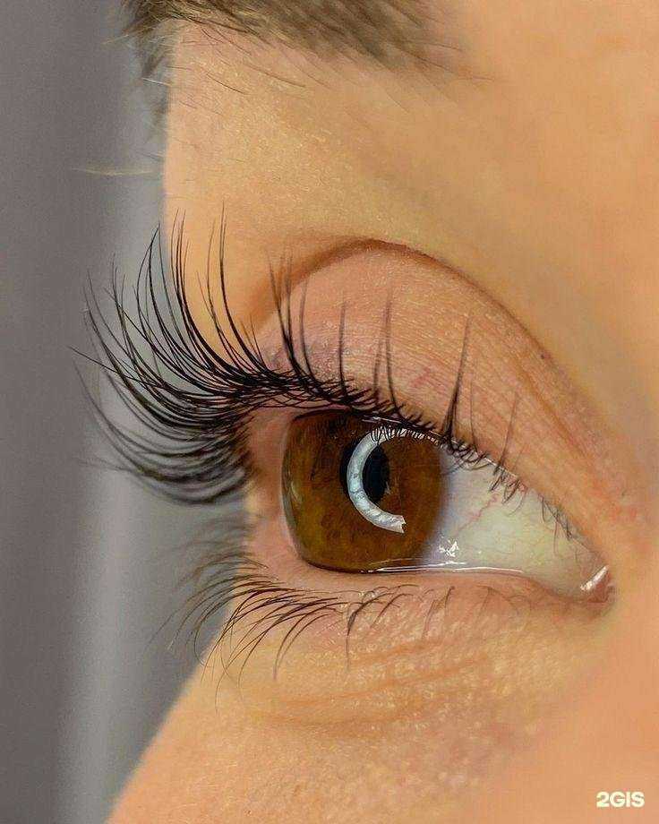 Отзывы на компанию Lami Lash  в Томске c фото