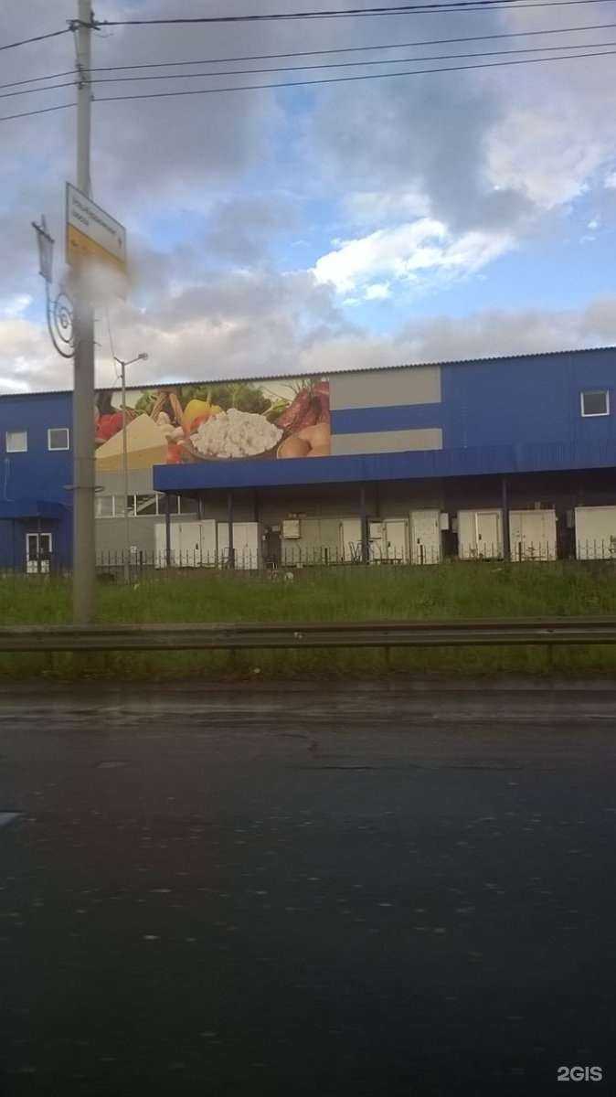 Отзывы на компанию Лесной блюз в Саратове c фото - фотография 2 из 2