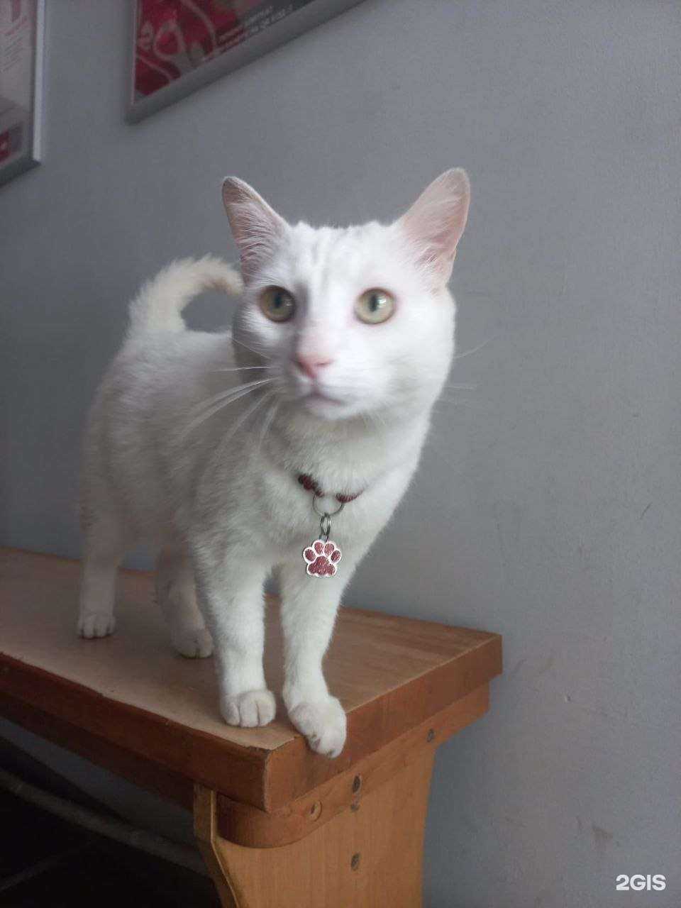 Отзывы на компанию Ваш Дом в г. Комсомольск-на-Амуре c фото