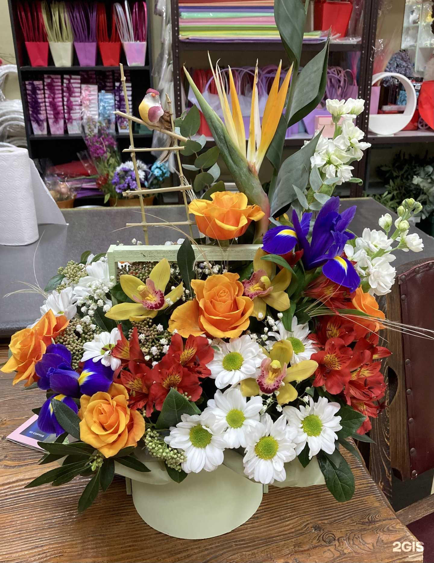 Отзывы на компанию Одуванчик в Сочи c фото