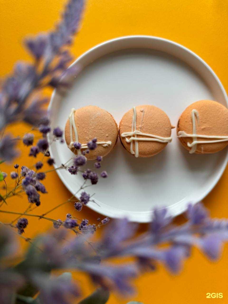 Отзывы на компанию Пеки, Лола в г. Томск c фото