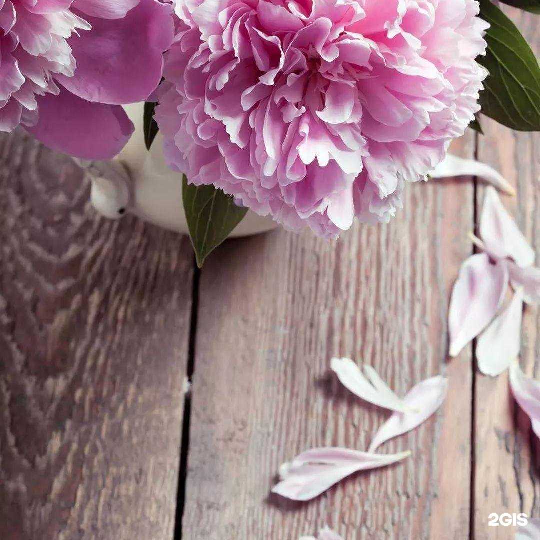 Отзывы на компанию Any day в Оренбурге c фото