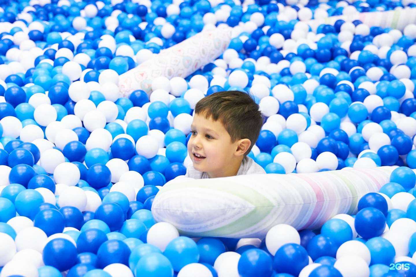 Отзывы на компанию Шарокузи в Воронеже c фото