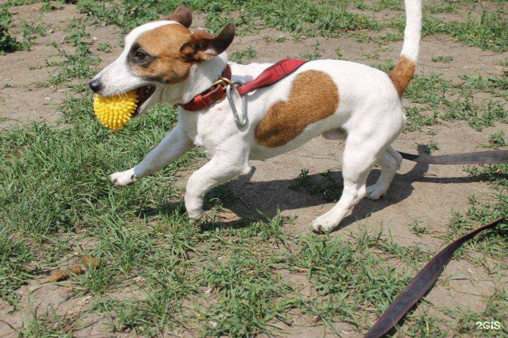 Отзывы на компанию На Орловской в г. Челябинск c фото