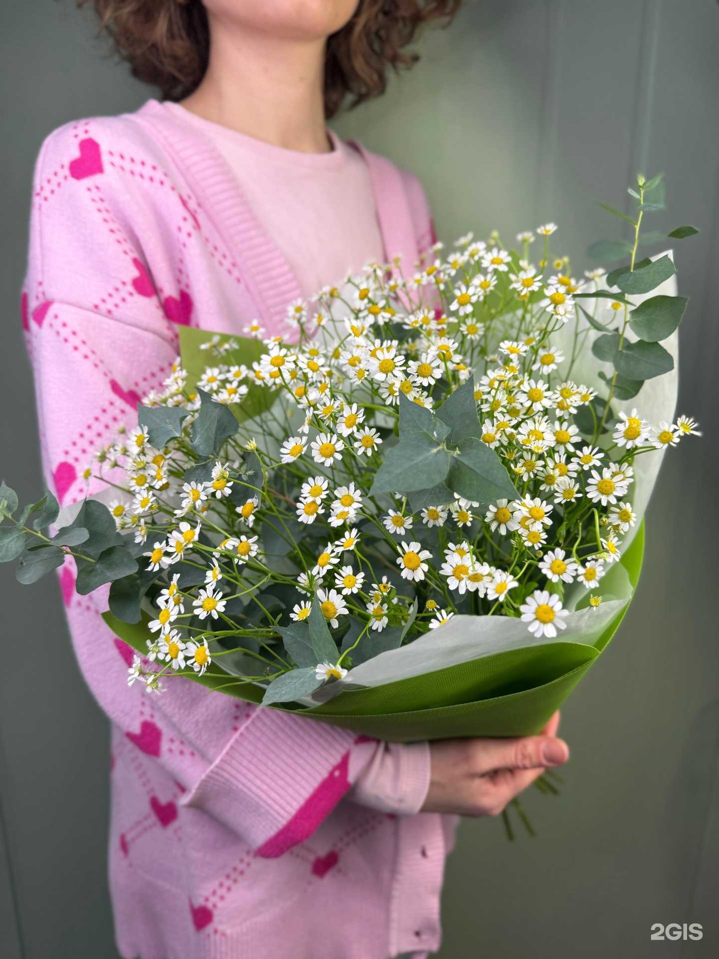 Отзывы на компанию Шиповник в г. Владивосток c фото