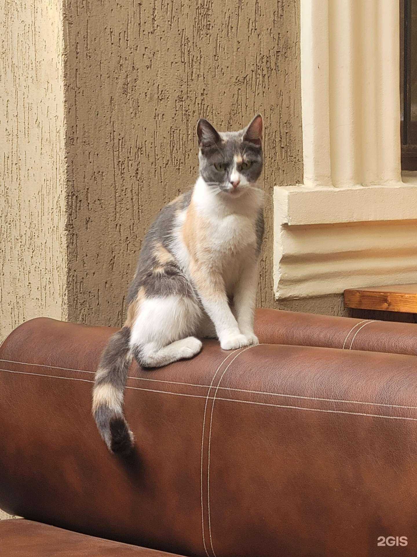 Отзывы на компанию Терраса в Минеральных Водах c фото