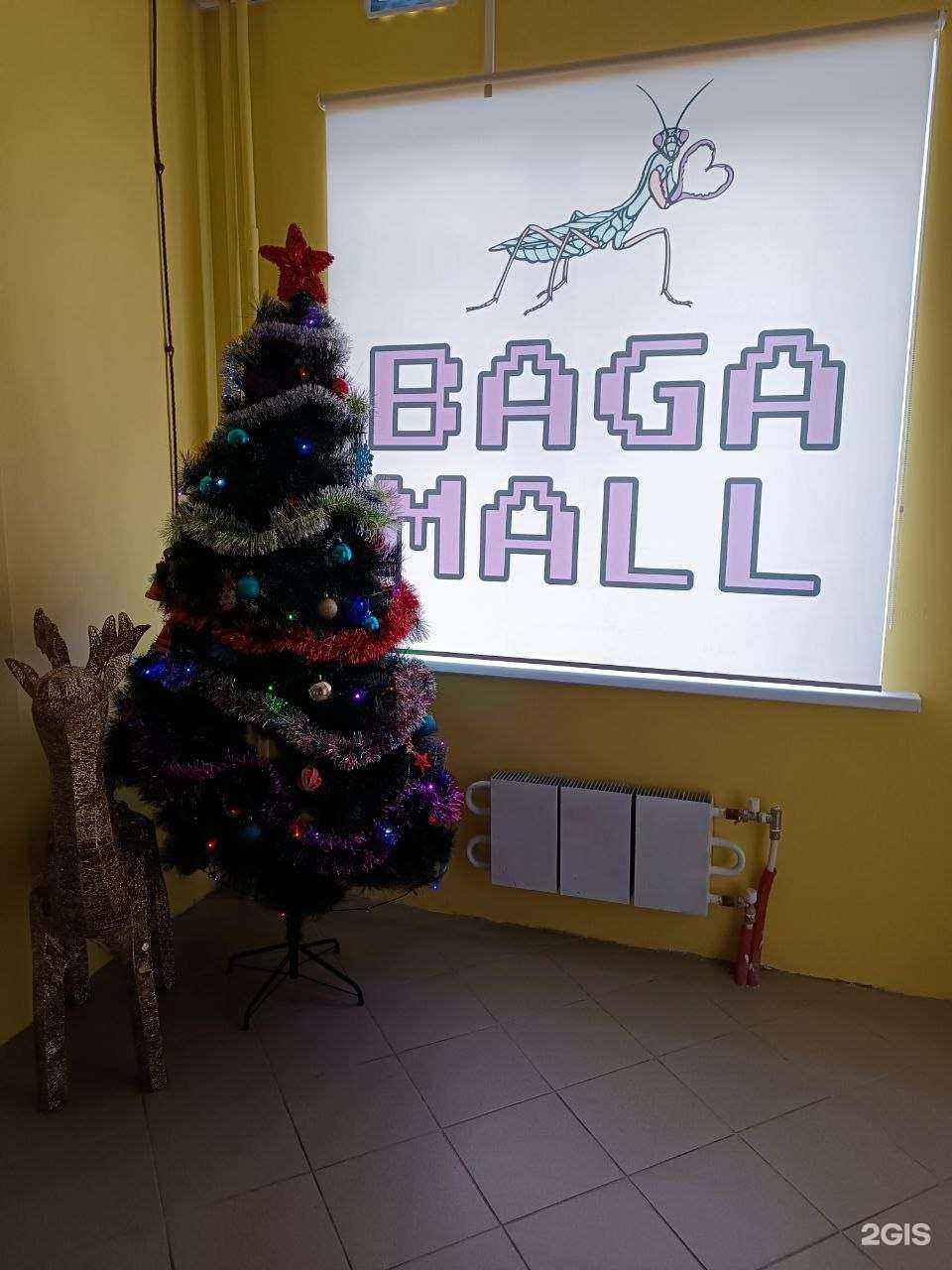 Отзывы на компанию Baga Mall в г. Омск c фото