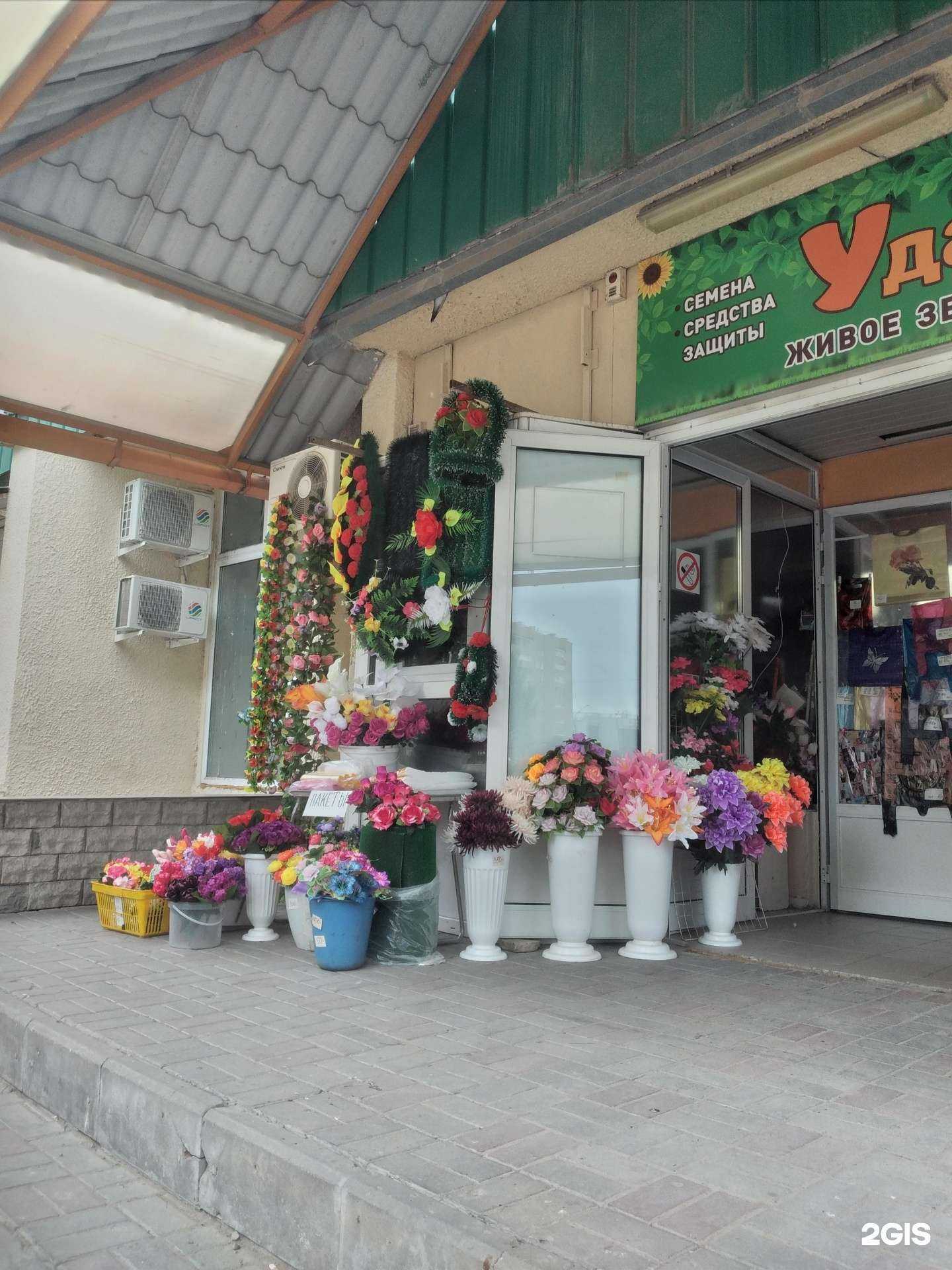 Отзывы на компанию Магазин пакетов и искусственных цветов в г. Волжский c фото