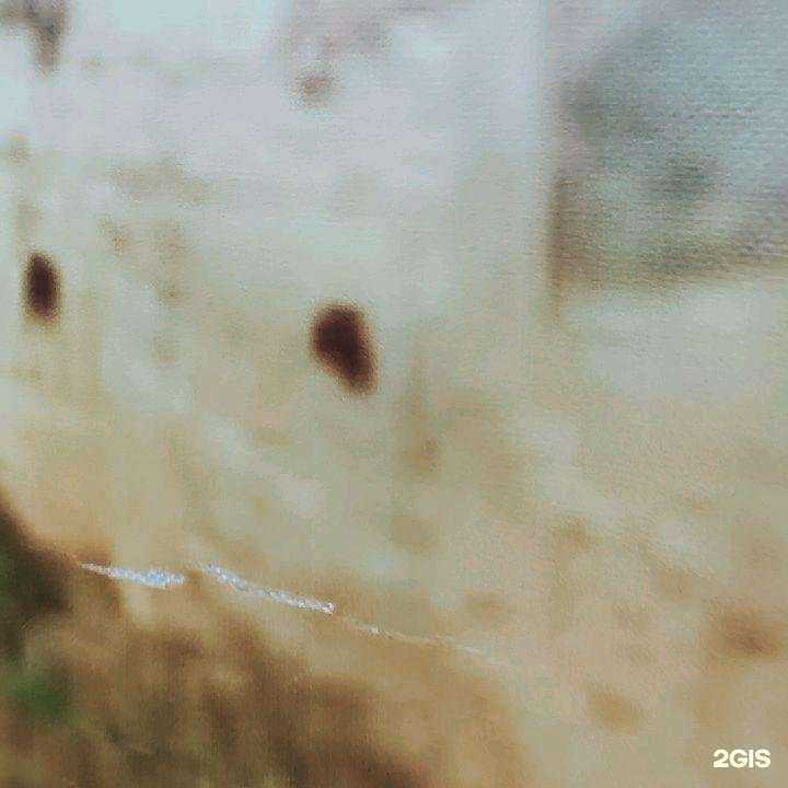 Отзывы на компанию Школа Кунг-фу в Барнауле c фото