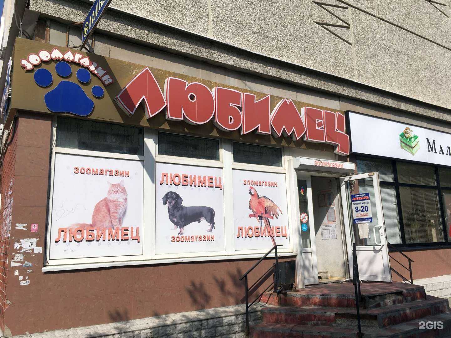 Отзывы на компанию Любимец в Пензе c фото