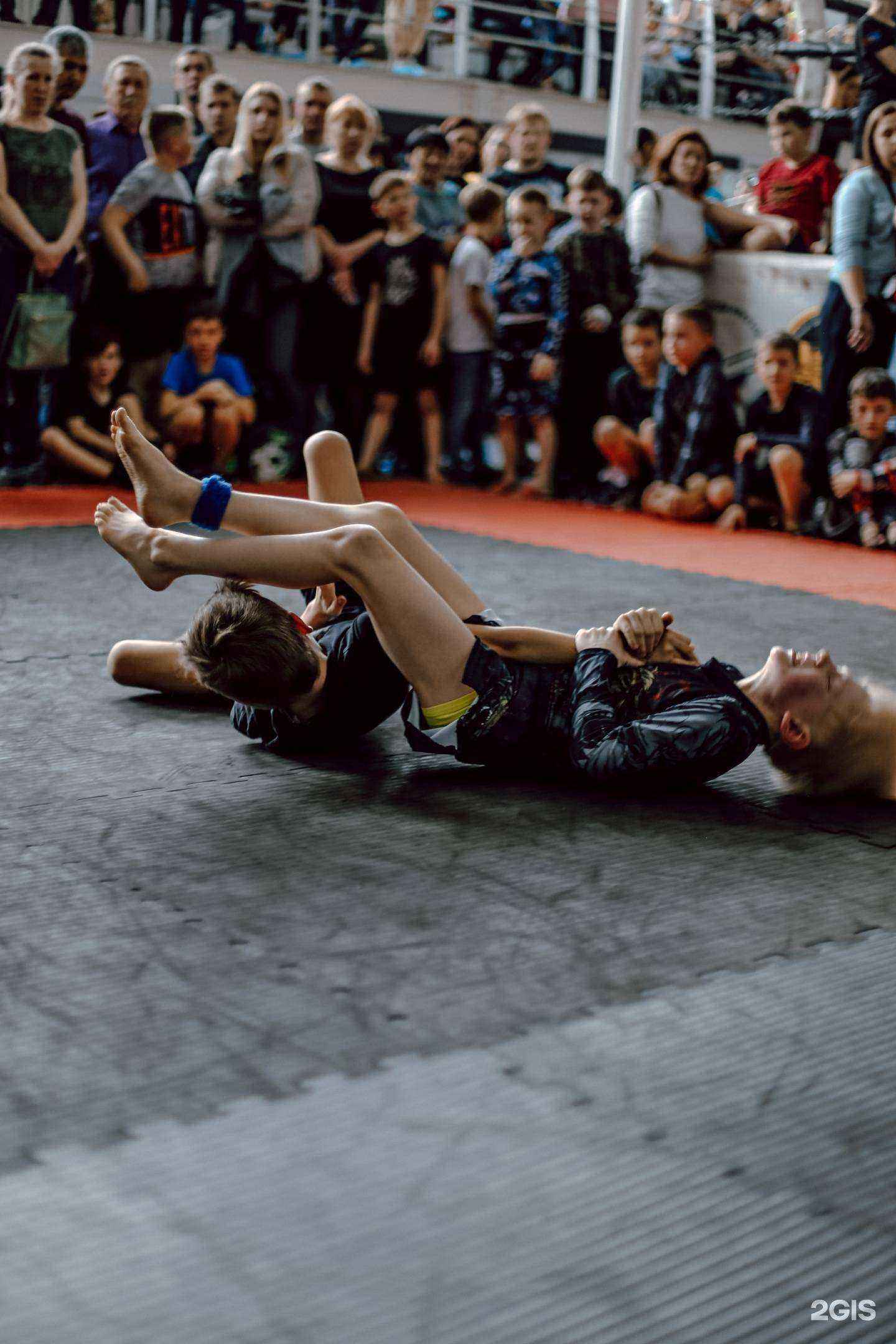 Отзывы на компанию Феникс ММА в г. Шелехов c фото