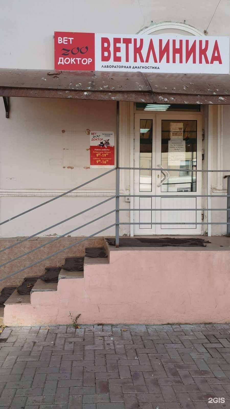 Отзывы на компанию Вет Zoo Доктор в Новокуйбышевске c фото