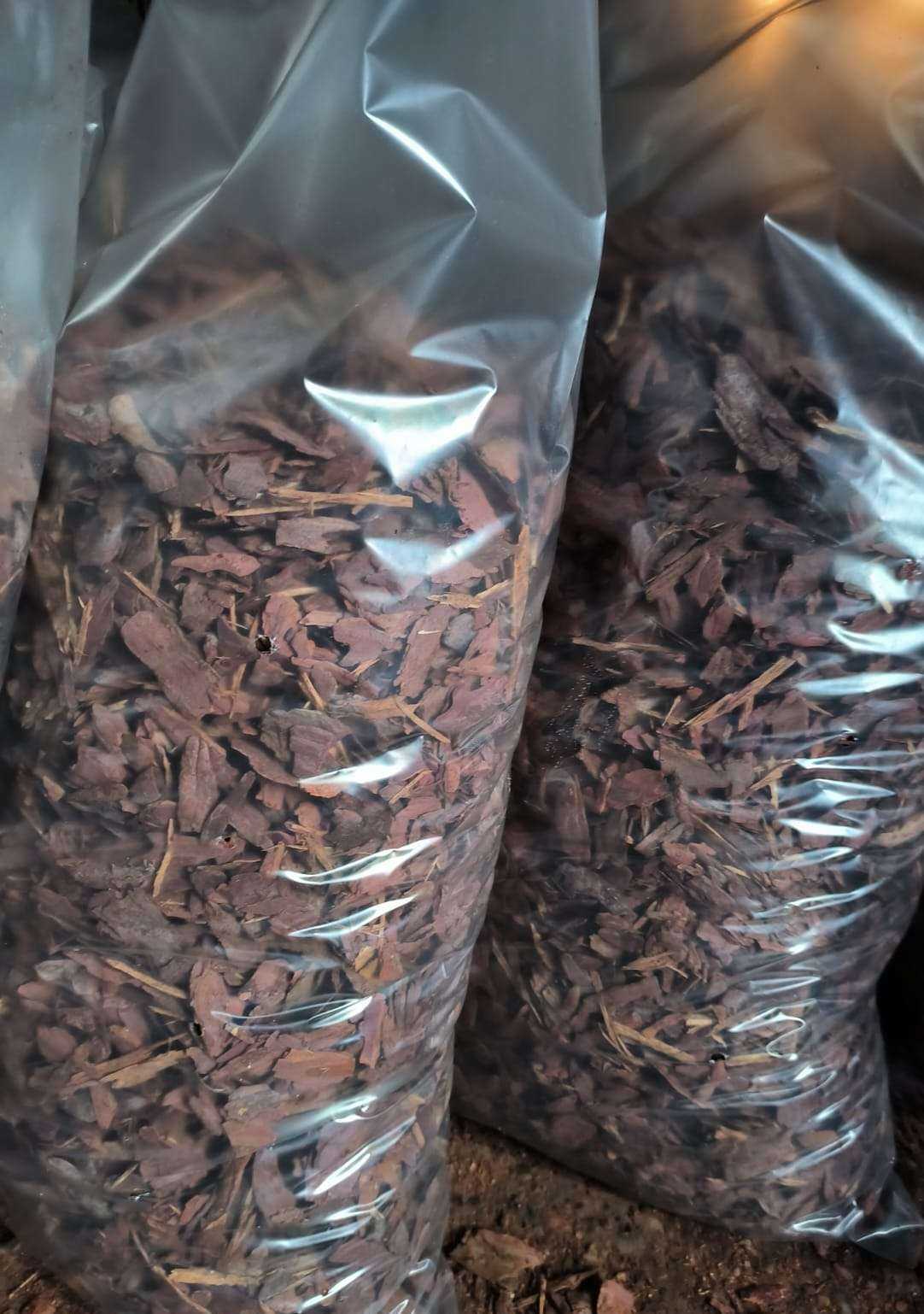 Отзывы на компанию Сапсан в Перми c фото