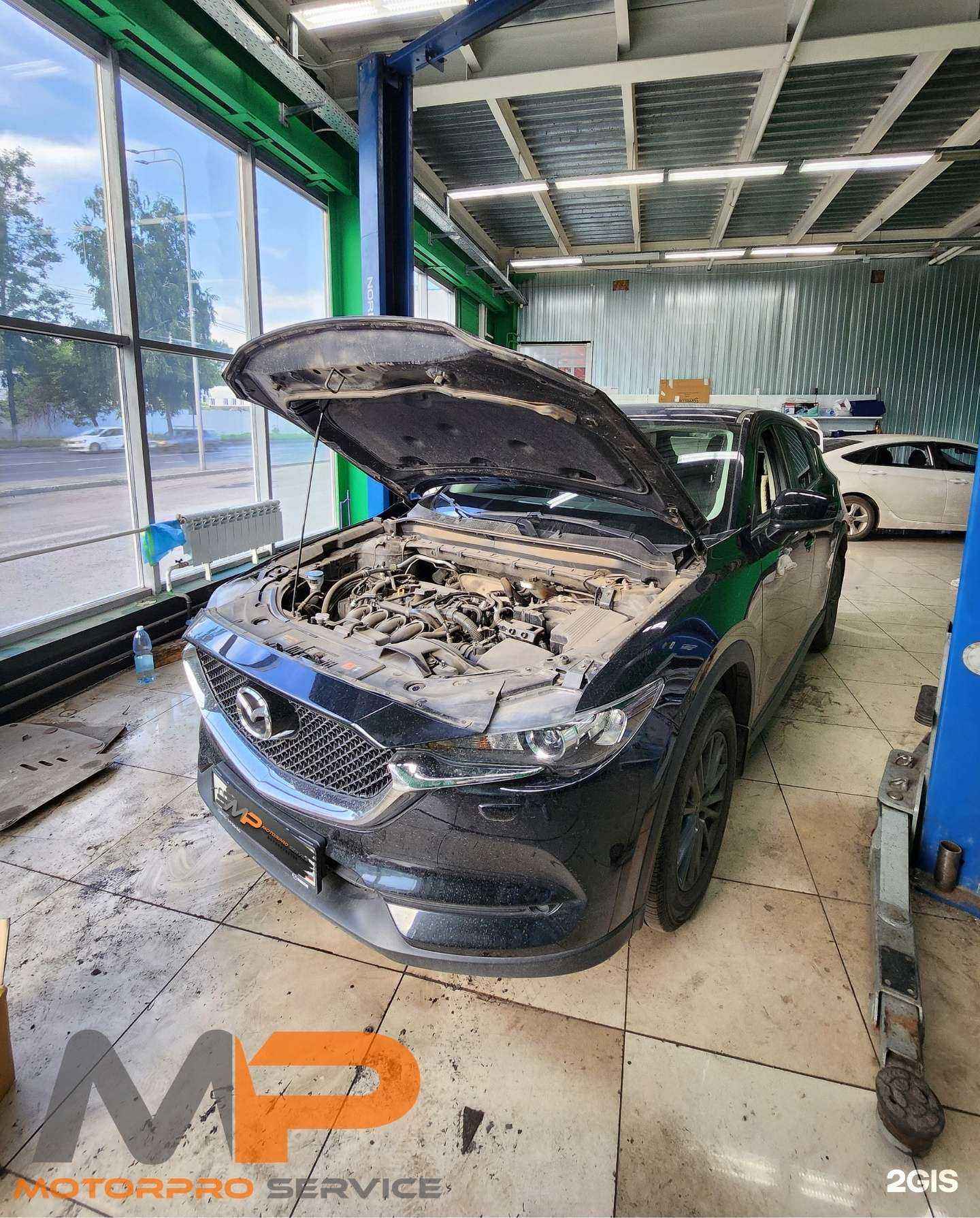 Отзывы на компанию Motorpro service в г. Новокузнецк c фото