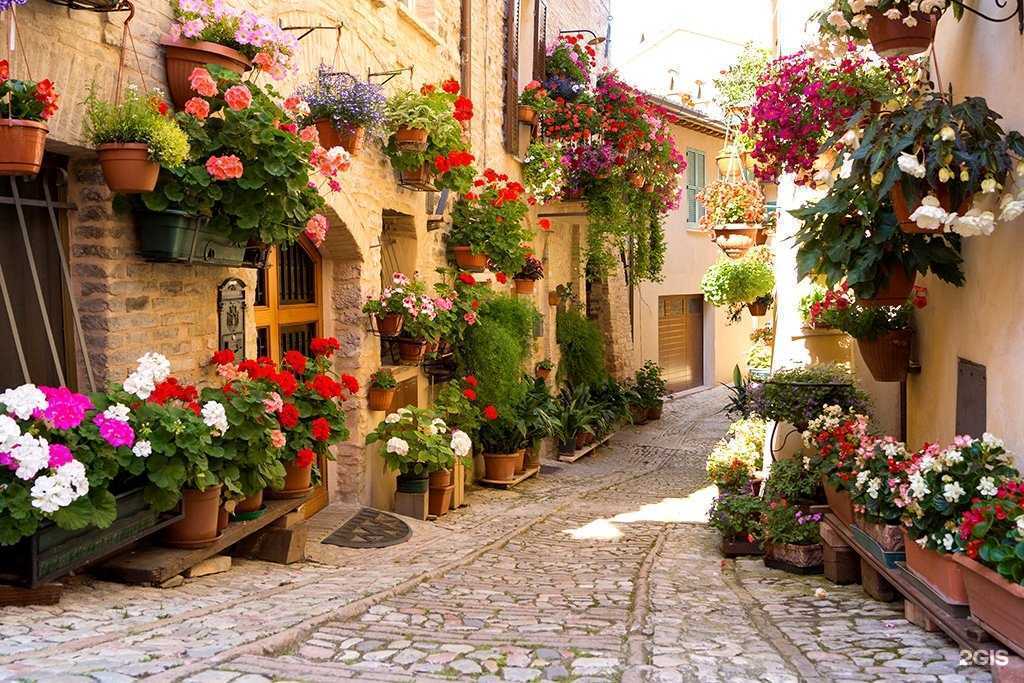 Отзывы на компанию Обои на Диване в г. Челябинск c фото