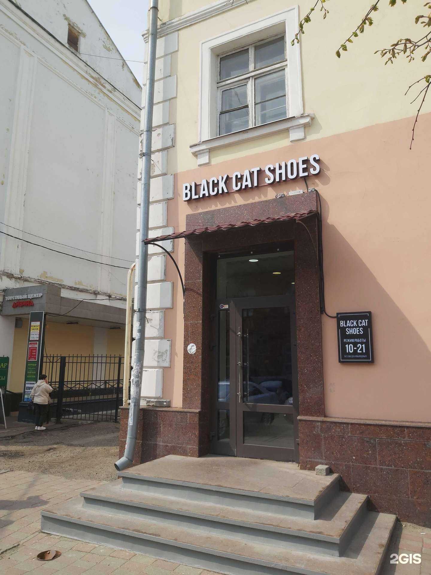 Отзывы на компанию Black cat shoes в Ярославле c фото