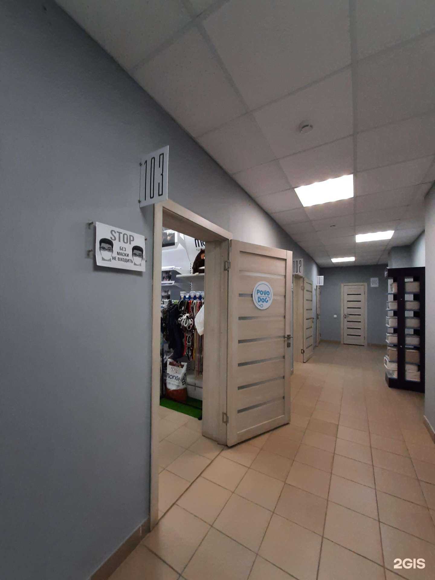 Отзывы на компанию Povo-dog в Казани c фото