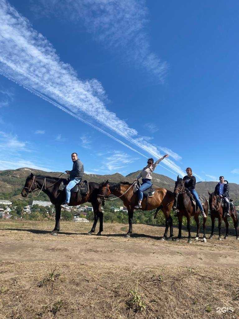 Отзывы на компанию Horse Kislovodsk в Кисловодске c фото