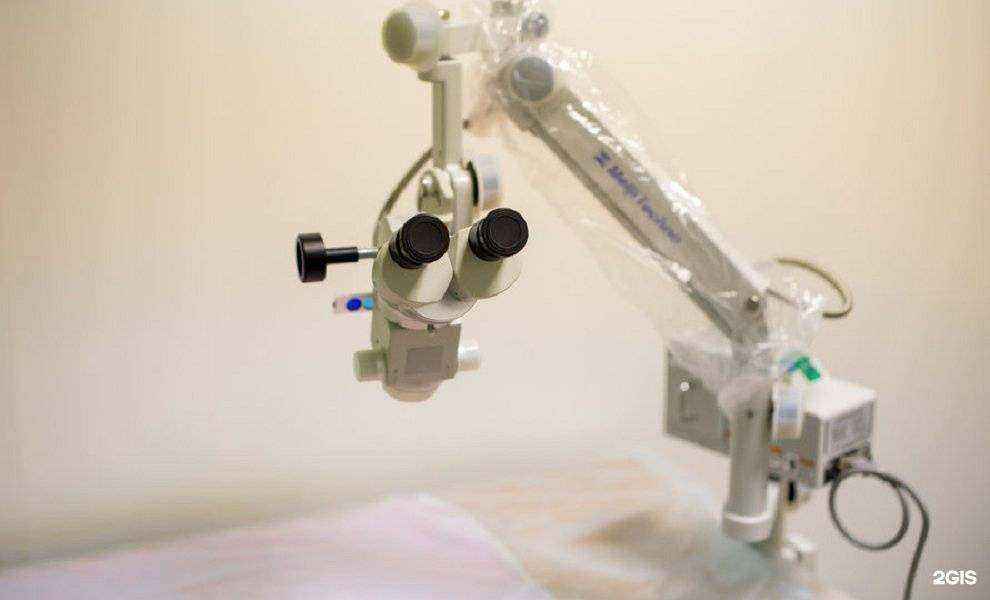 Отзывы на компанию От носа до хвоста в Нижнем Новгороде c фото