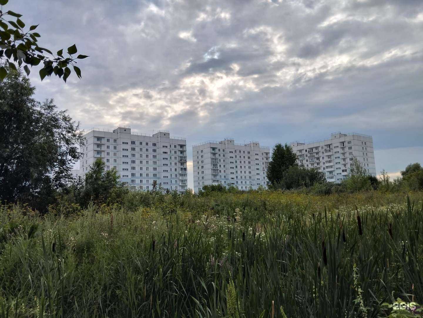 Отзывы на компанию Живая вода в Новосибирске c фото - фотография 2 из 2