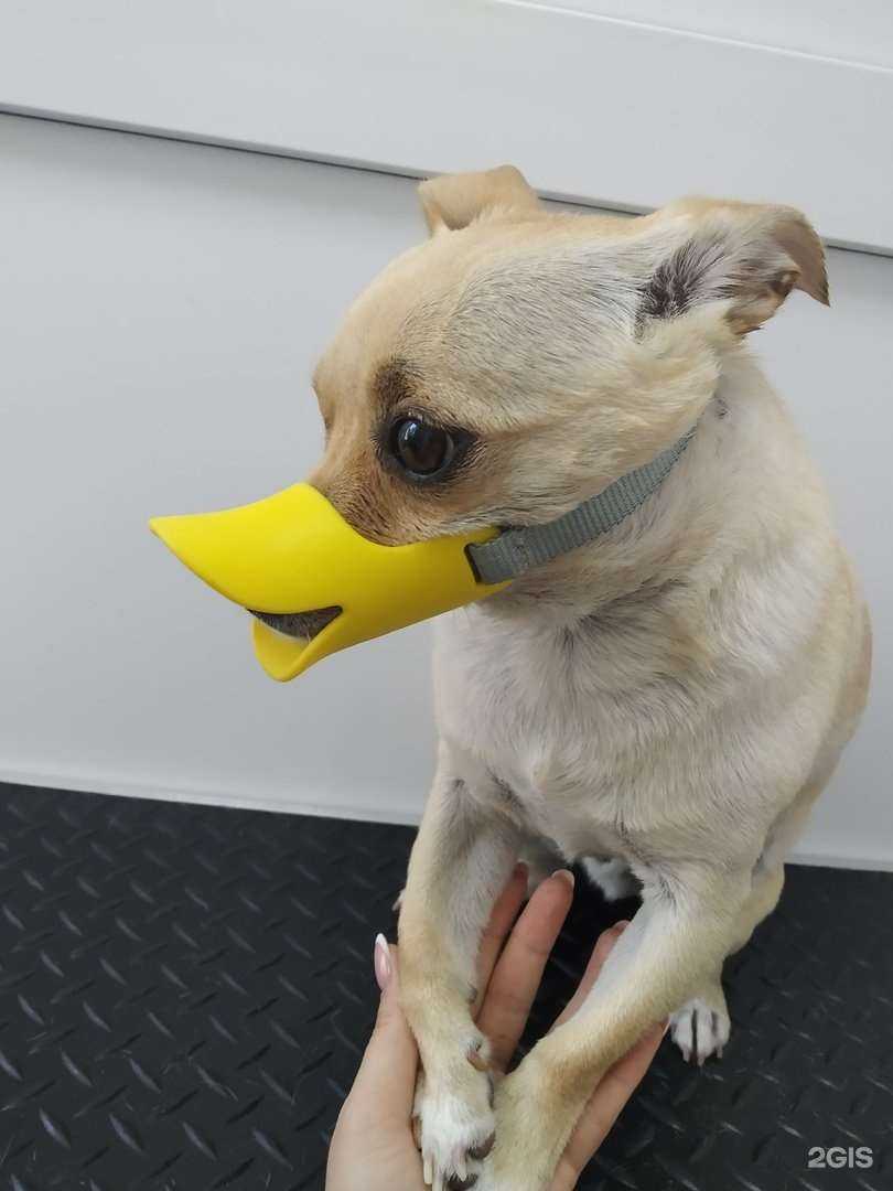 Отзывы на компанию ЛедиМур в Челябинске c фото