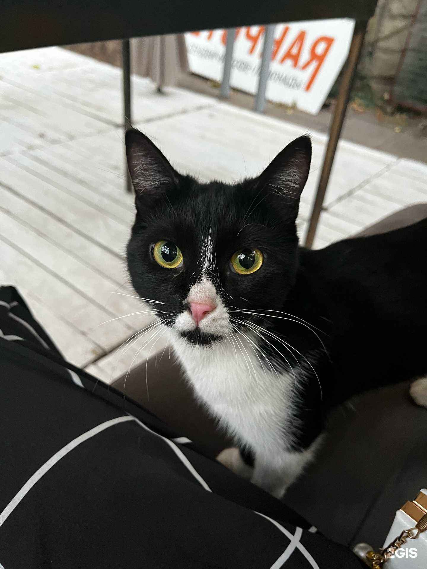 Отзывы на компанию Спутник в Краснодаре c фото