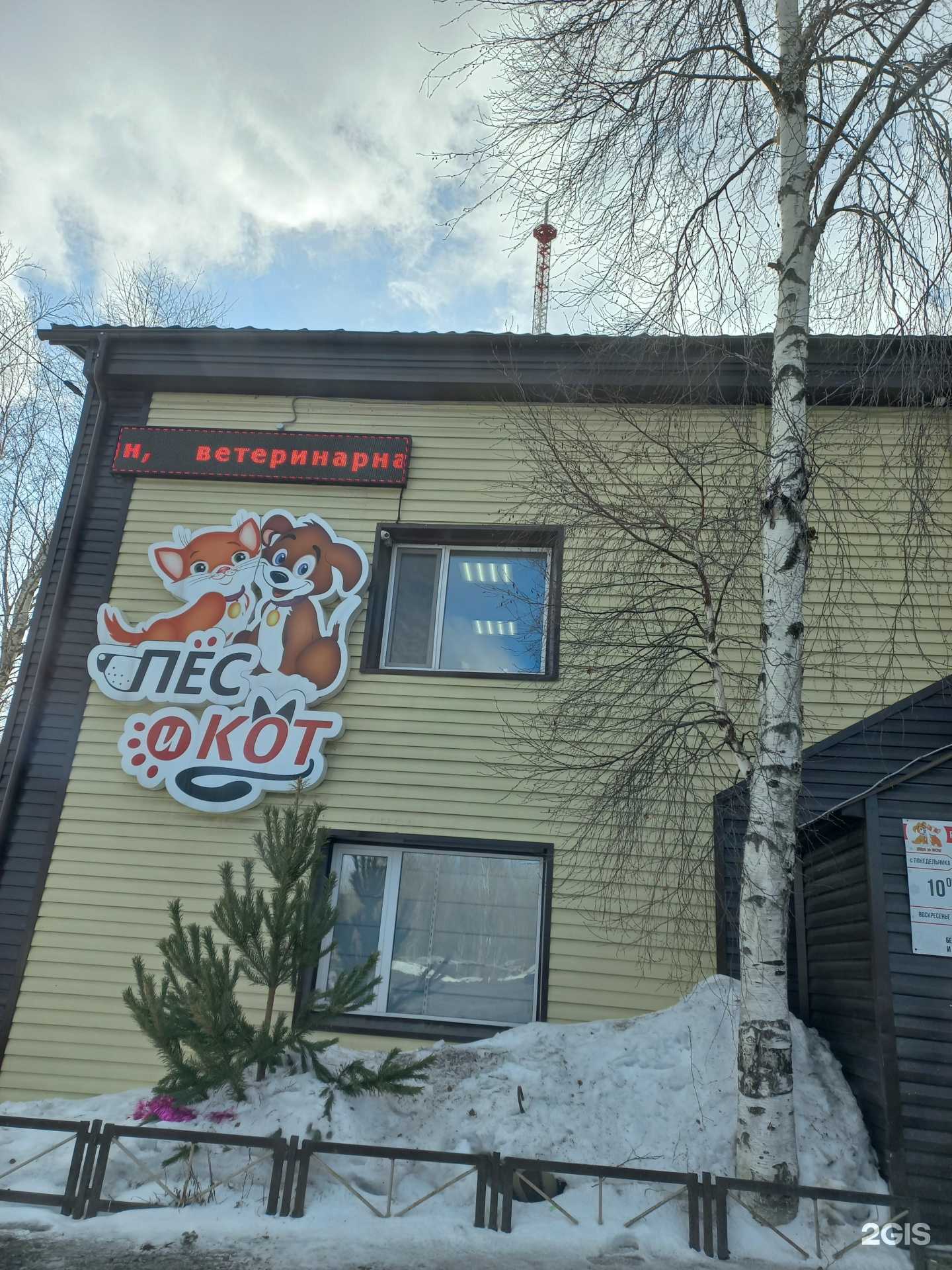 Отзывы на компанию Ёжкин Кот в Нижневартовске c фото - фотография 2 из 2