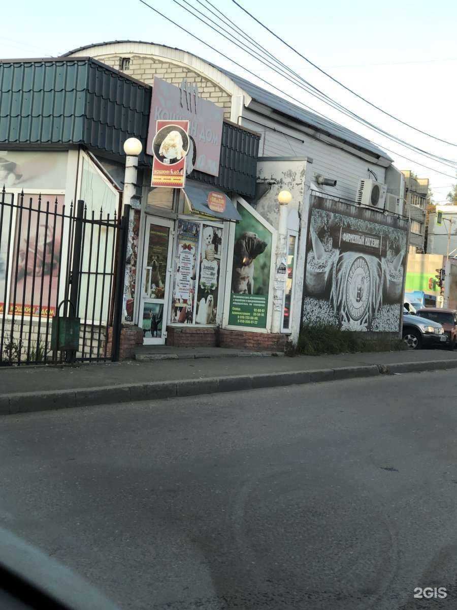 Отзывы на компанию Кошкин дом в Брянске c фото - фотография 2 из 2