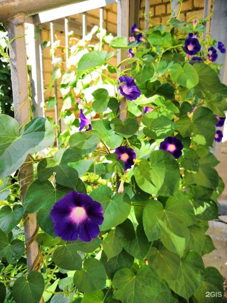 Отзывы на компанию Спецремстрой в Самаре c фото