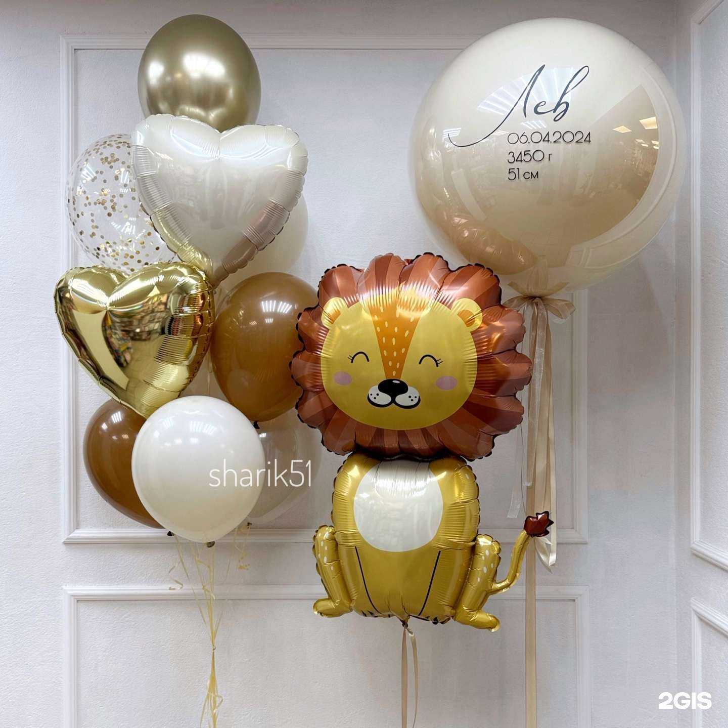 Отзывы на компанию Шарик51 в г. Мурманск c фото