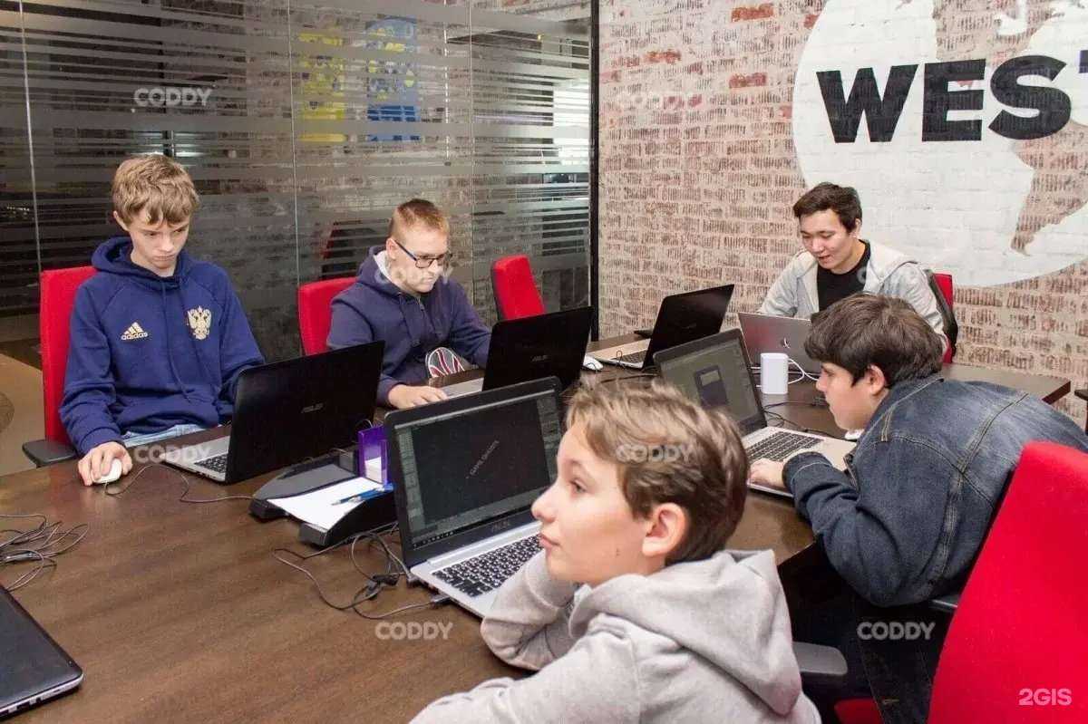 Отзывы на компанию Coddy в г. Череповец c фото