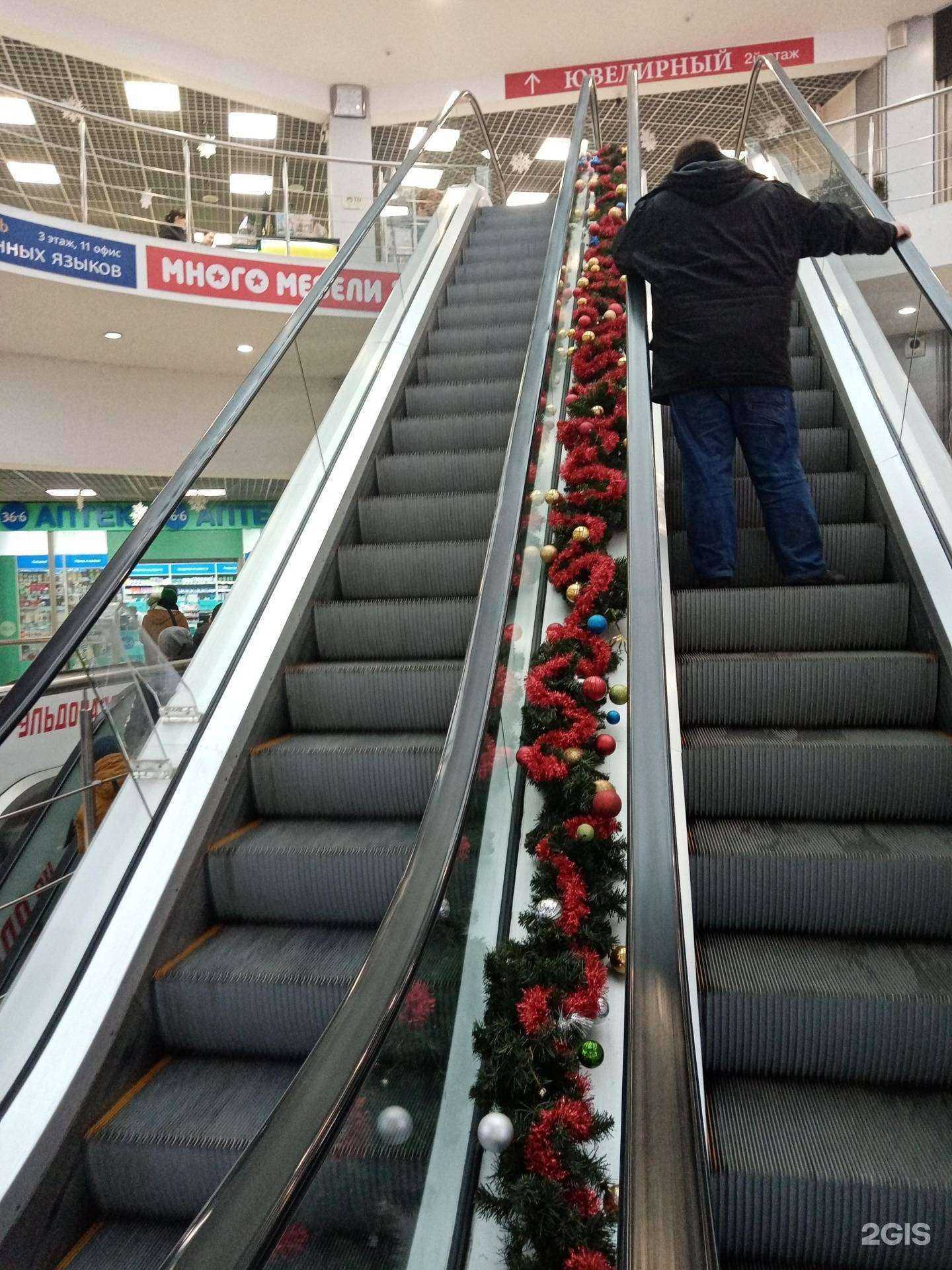 Отзывы на компанию Курс в Видном c фото