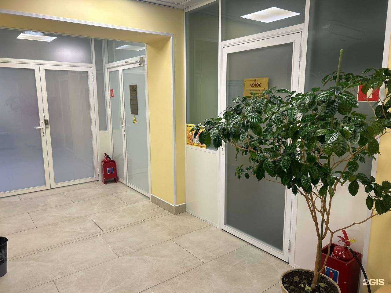 Отзывы на компанию Лотос в г. Владивосток c фото