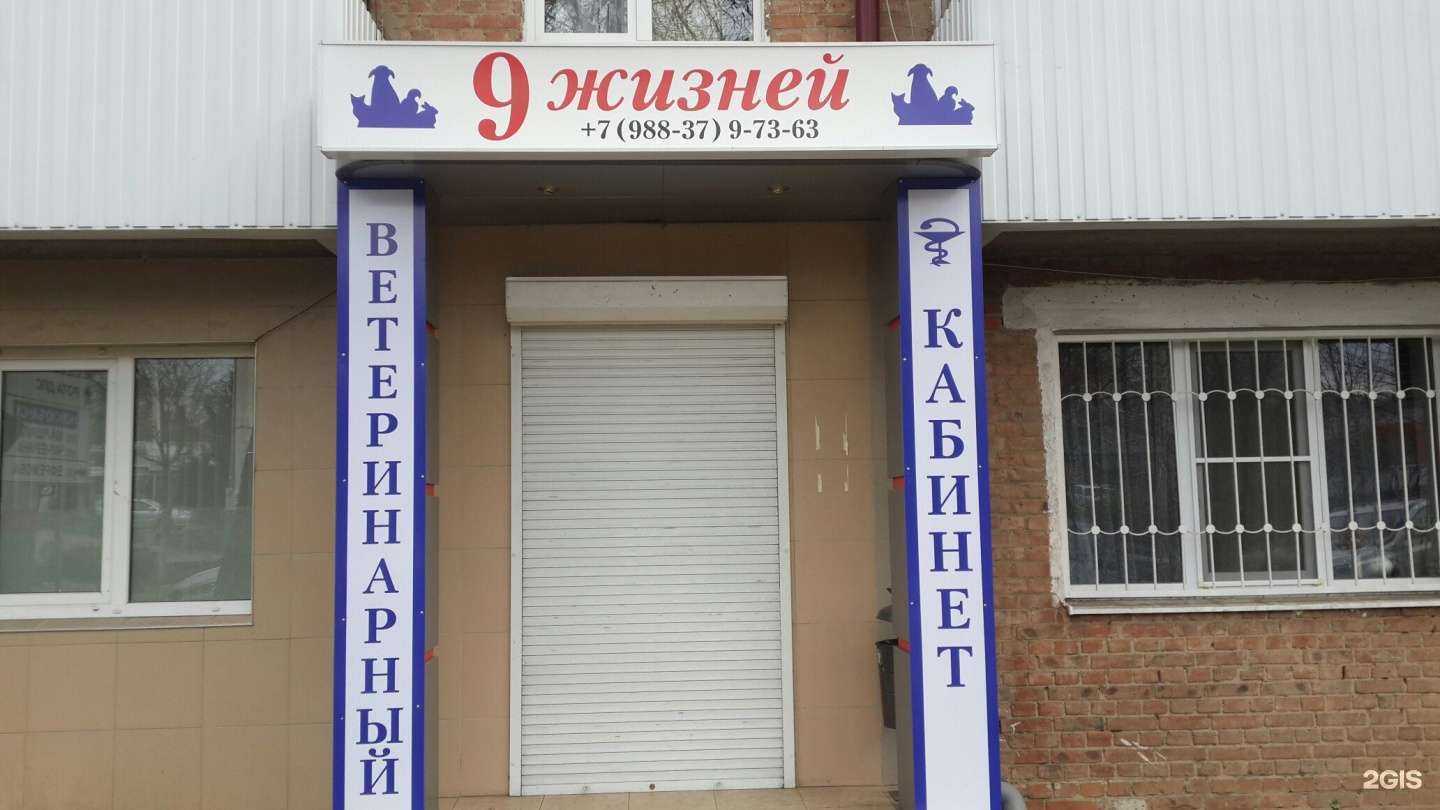 Отзывы на компанию 9 жизней в г. Армавир c фото