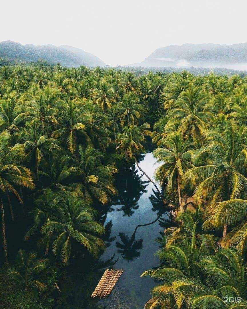 Отзывы на компанию Grizli в Челябинске c фото