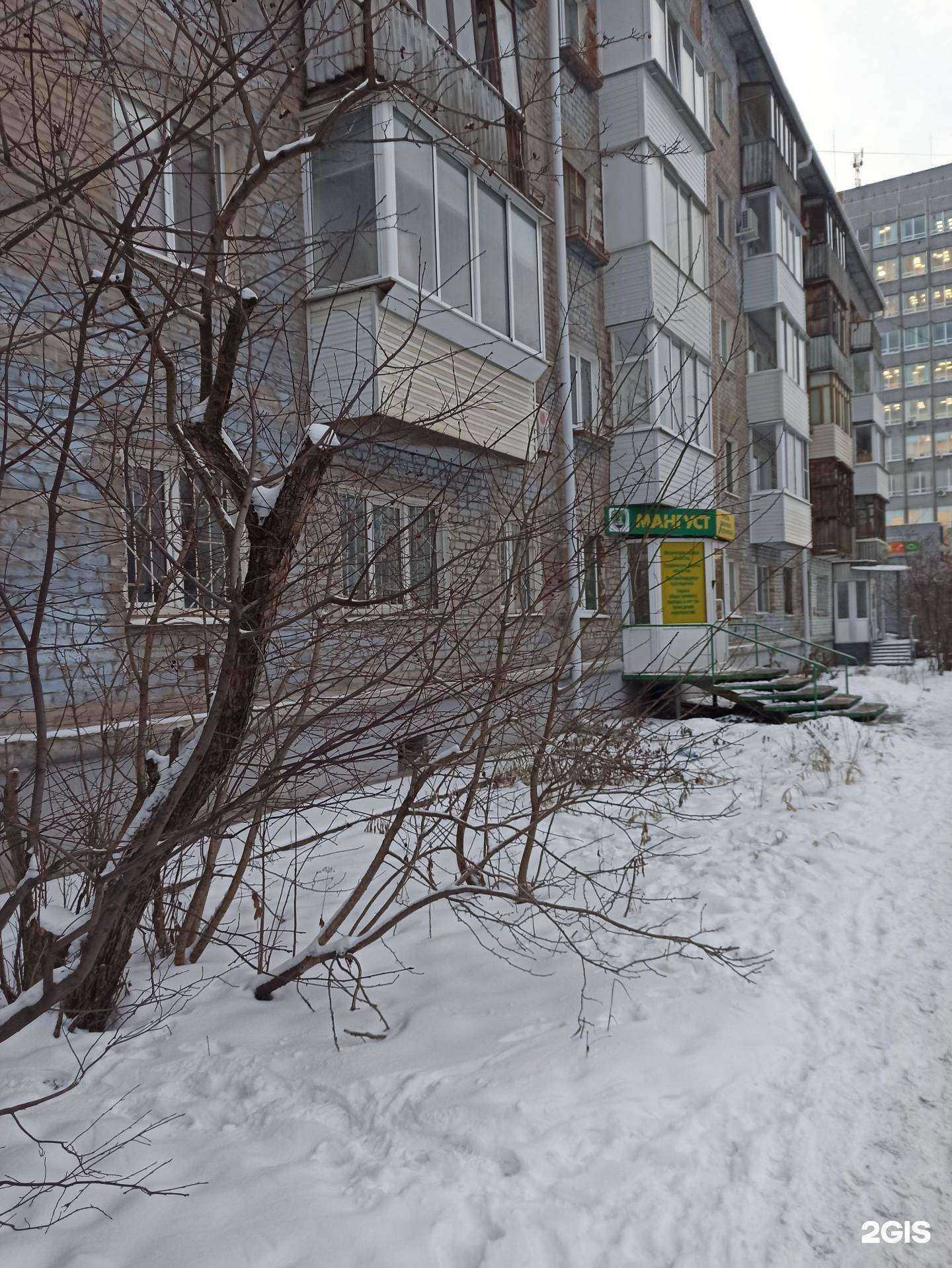 Отзывы на компанию Мангуст в Перми c фото