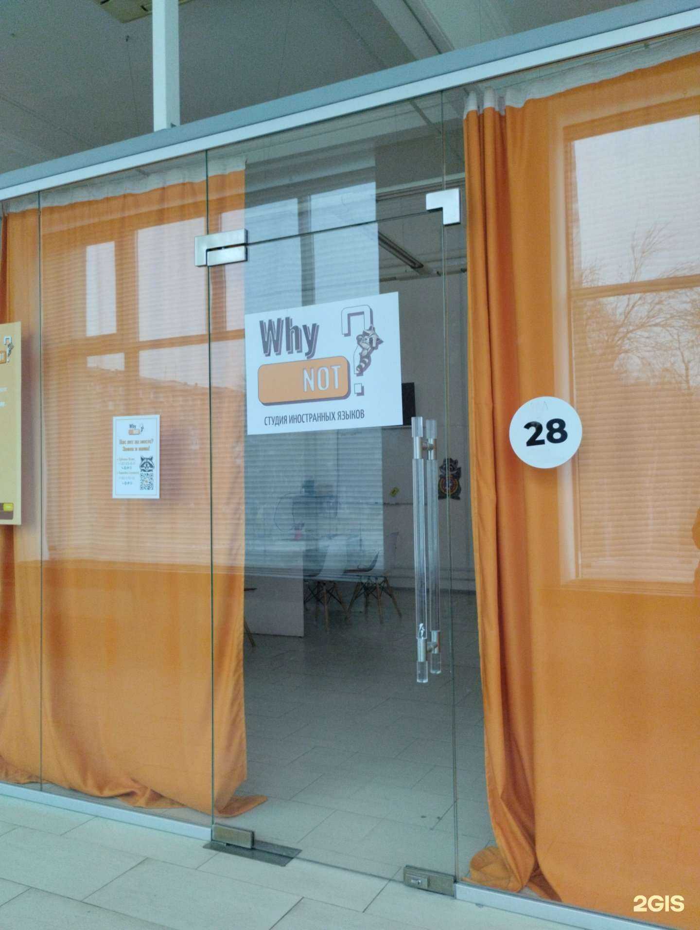 Отзывы на компанию Why not в г. Саратов c фото