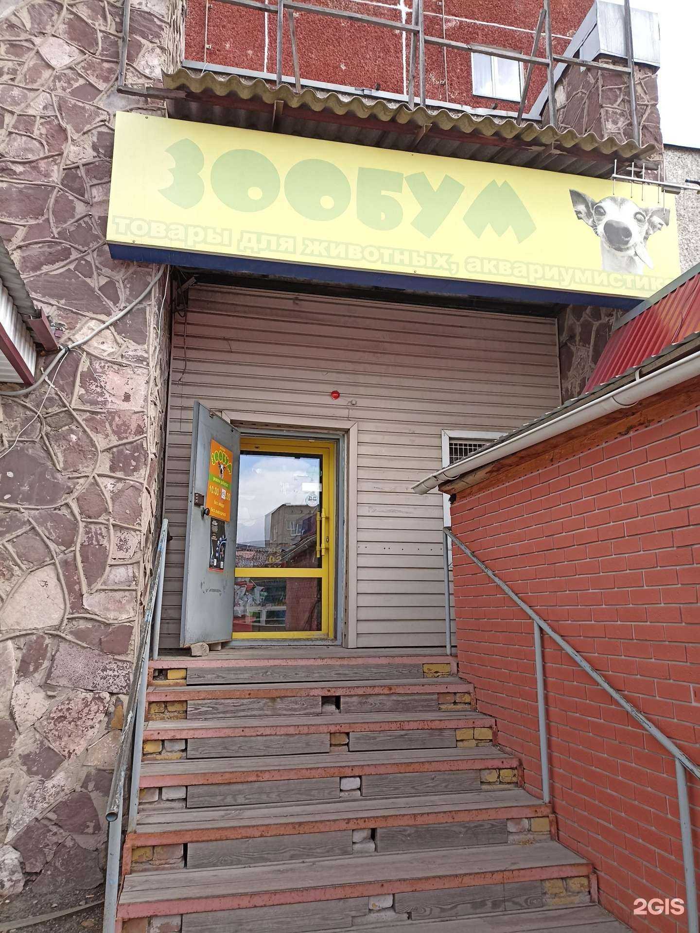 Отзывы на компанию ЗооБум в г. Минусинск c фото