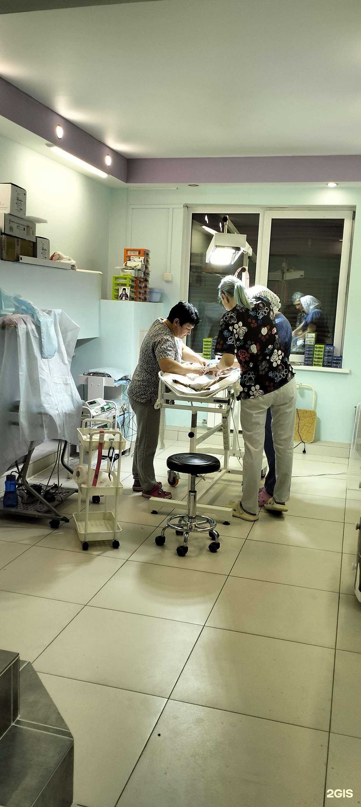 Отзывы на компанию Бэмби в Иркутске c фото