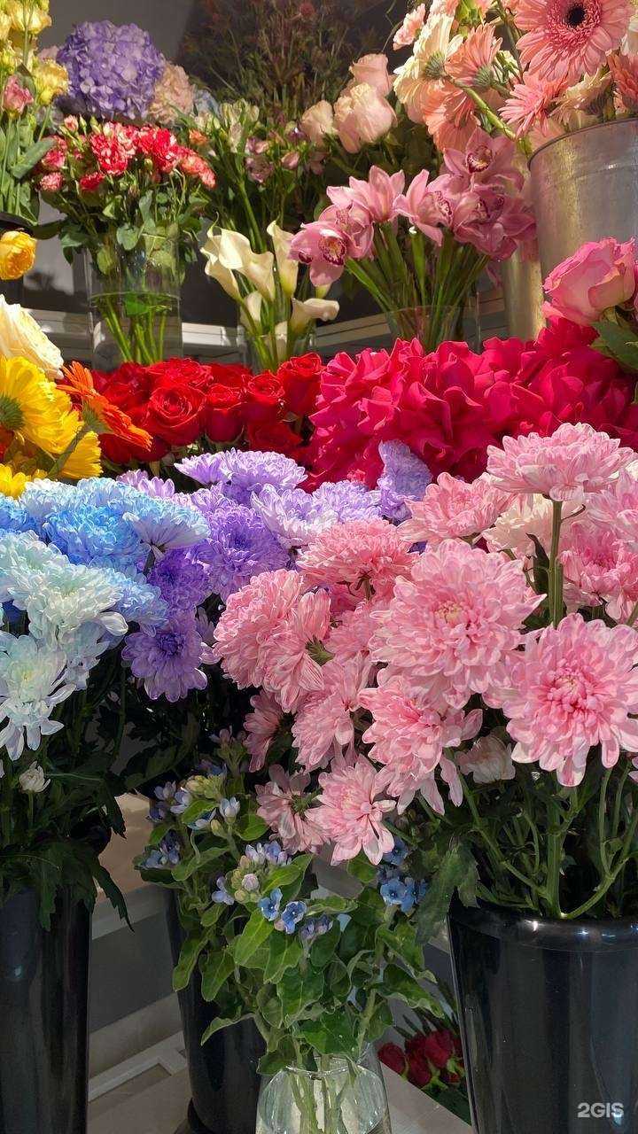 Отзывы на компанию Мир Цветов в г. Новочебоксарск c фото